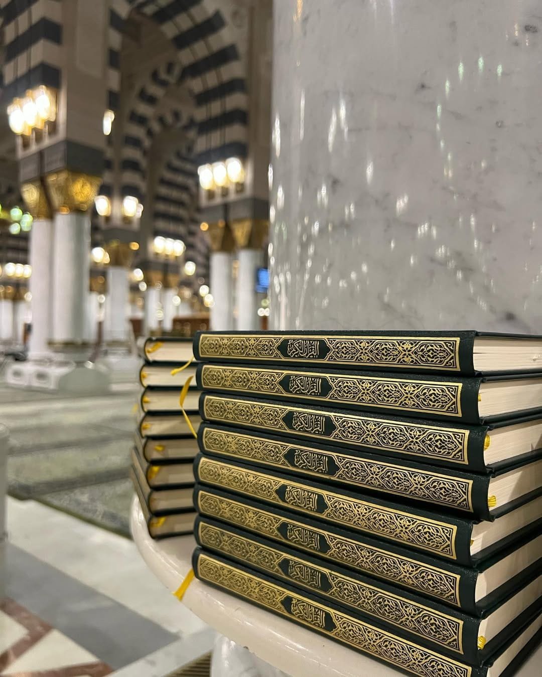 WhatsApp Image 2025-09-20 at 08.57.23