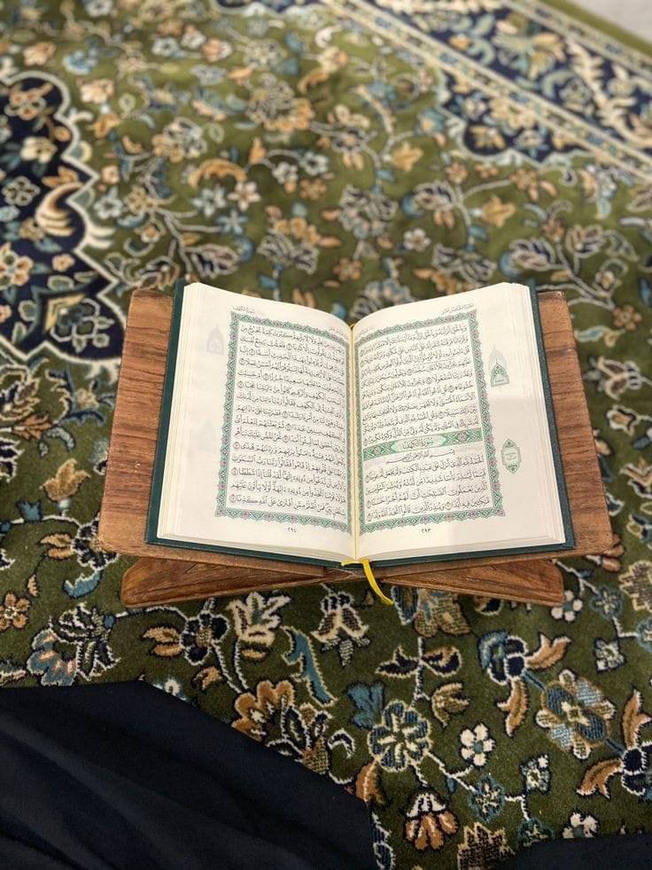 WhatsApp Image 2025-09-20 at 08.58.45